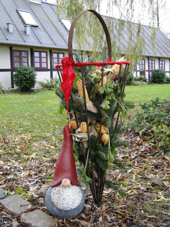 Dyssegaard B&B Skallerup Luaran gambar