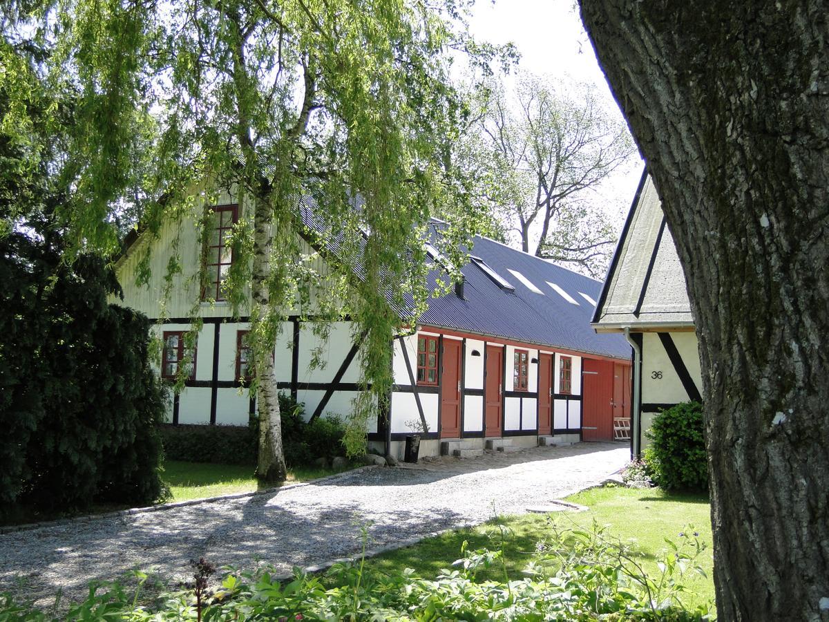 Dyssegaard B&B Skallerup Luaran gambar